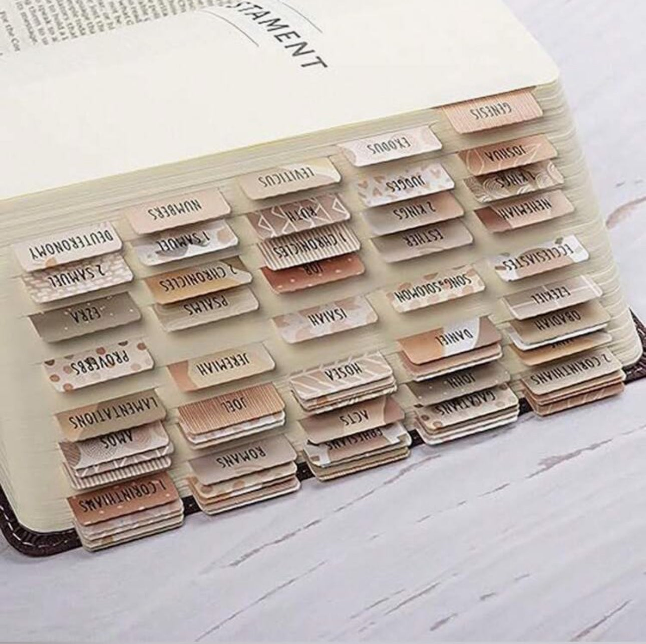 REIGN Bible Tabs